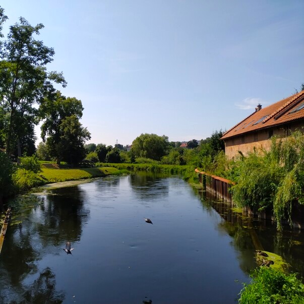 DOBRE MIASTO 🇵🇱